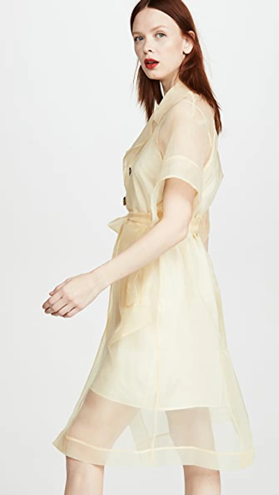 Shop Baum Und Pferdgarten Devore Dress In Vanilla Custard Yellow