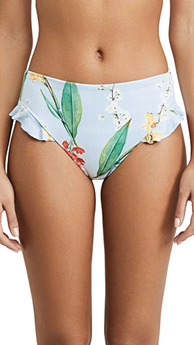 Shop Agua Bendita Penelope Bikini Bottoms In Olympia