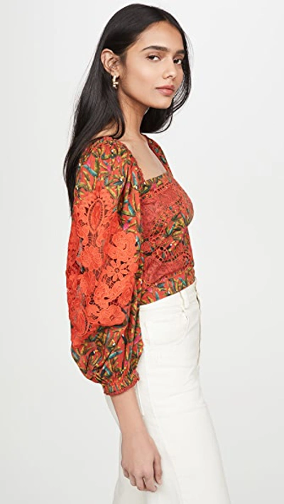 Shop Farm Rio Liberty Lace Blouse In Red Multi