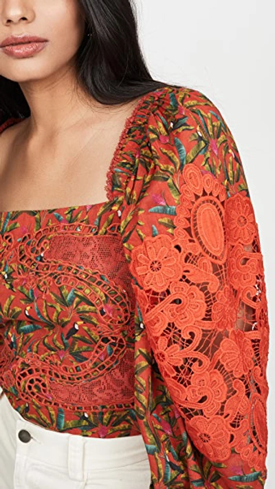 Shop Farm Rio Liberty Lace Blouse In Red Multi