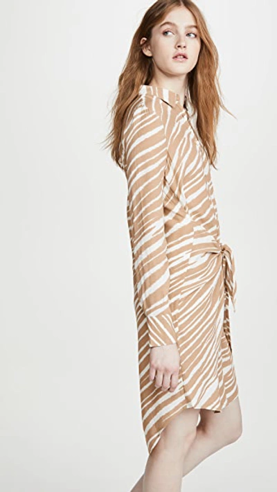 Shop Habitual Talia Shirtdress In Gardenia Zebra Print