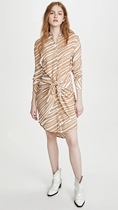 Shop Habitual Talia Shirtdress In Gardenia Zebra Print