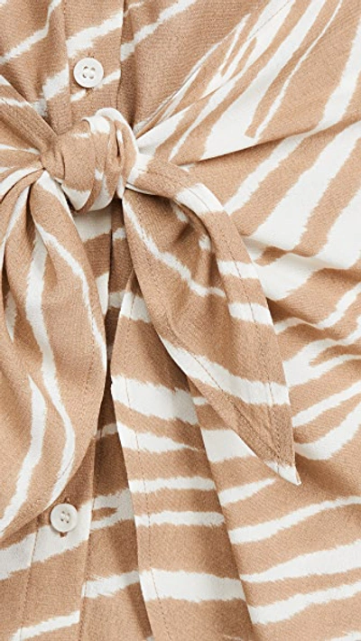 Shop Habitual Talia Shirtdress In Gardenia Zebra Print