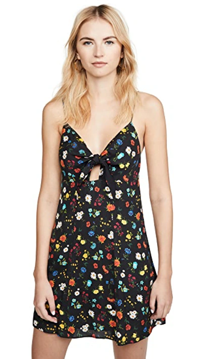 Shop Alice And Olivia Roe Tie Front Flare Dress In Botanical Ditsy-sm
