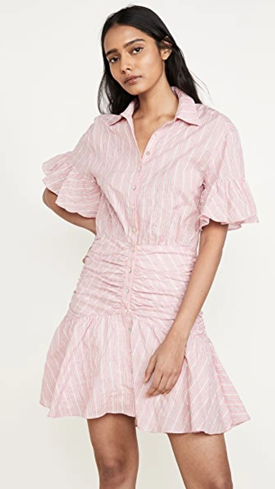 Shop Cinq À Sept Tous Les Jours Stripe Asher Dress In Carnation Multi