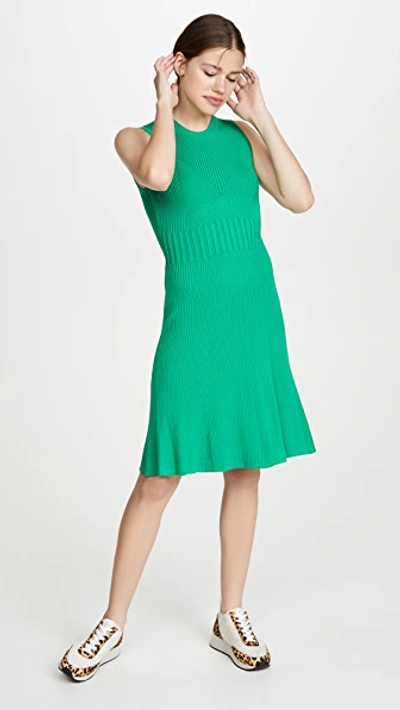 Shop Opening Ceremony Rib Knit Dress In Kelly Green