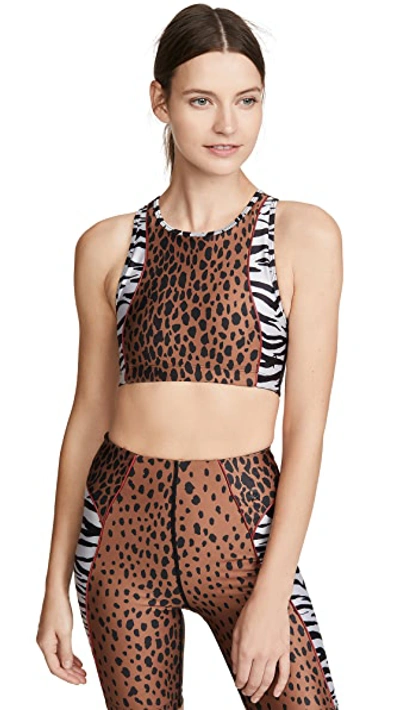 Shop Good American Active Animal Mix Uppercut Bra In Mixed Animal001