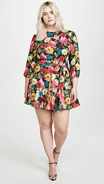 Shop Alice And Olivia Mina Puff Sleeve Godet Dress With Belt In Just Bloom Large Black/combo