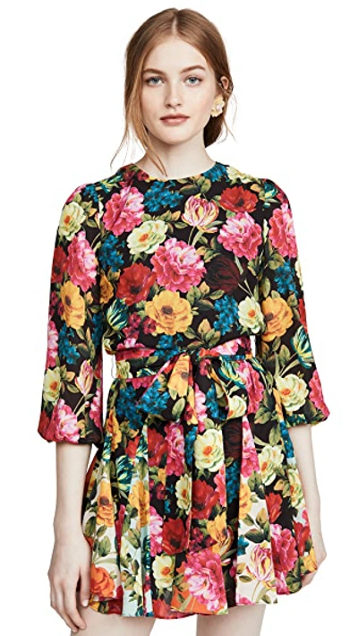 Shop Alice And Olivia Mina Puff Sleeve Godet Dress With Belt In Just Bloom Large Black/combo