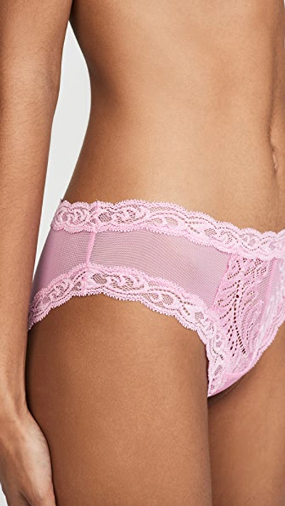 Shop Natori Feathers Hipster Panties In Posy Pink