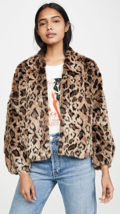Shop Velvet Anne Faux Fur Jacket In Leopard