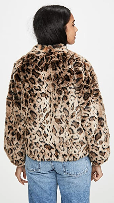 Shop Velvet Anne Faux Fur Jacket In Leopard