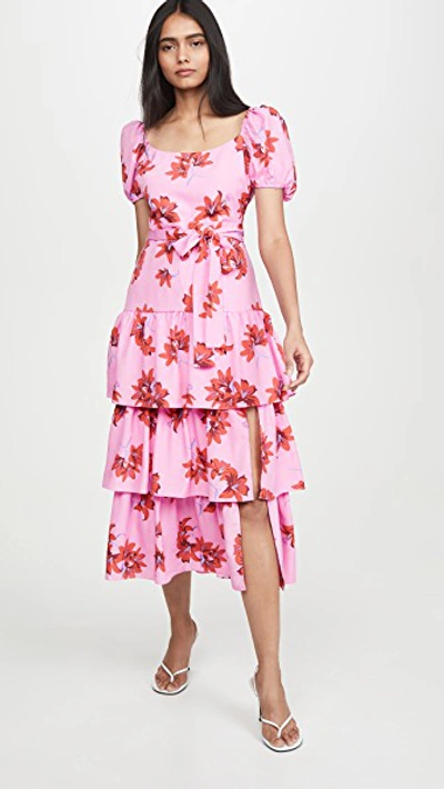 Shop Likely Lottie Dress In Red/pink Multi