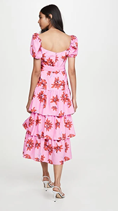 Shop Likely Lottie Dress In Red/pink Multi