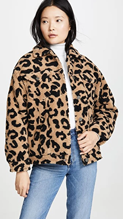 Shop Apparis Tiarra Teddy Bear Jacket In Leopard Faux Shearling