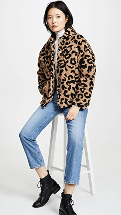 Shop Apparis Tiarra Teddy Bear Jacket In Leopard Faux Shearling