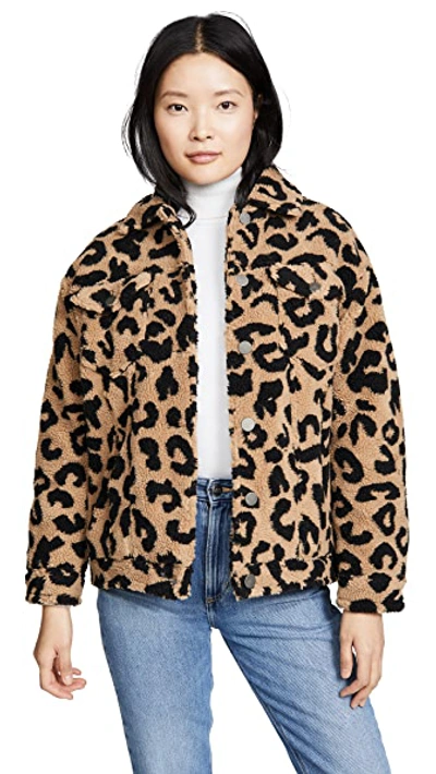 Shop Apparis Tiarra Teddy Bear Jacket In Leopard Faux Shearling
