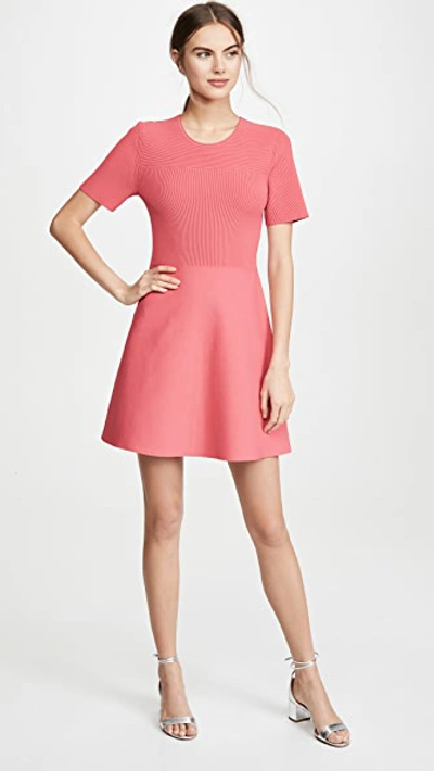 Shop Theory Otto Flare Dress In Watermelon