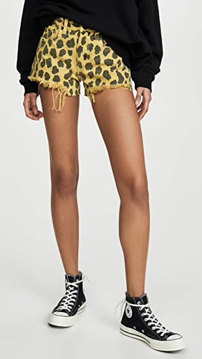 Shop Blank Denim Lime Light Leopard Shorts