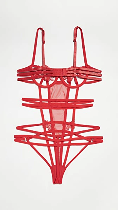 Shop Bluebella Eden Wired Thong Bodysuit In Red