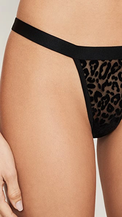 Shop Anine Bing Isla Flocked Leopard Thong