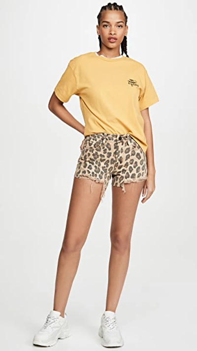Shop Blank Denim Stubborn Leopard Shorts