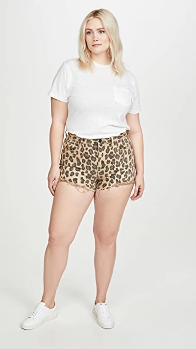 Shop Blank Denim Stubborn Leopard Shorts