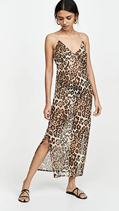 Shop Sara Cristina Pearl Dress In Leopard