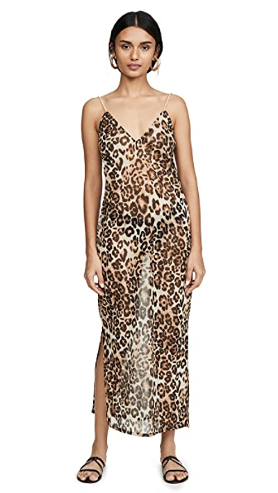 Shop Sara Cristina Pearl Dress In Leopard