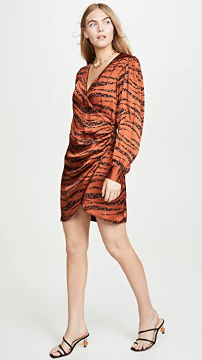 Shop Anine Bing Penelope Dress In Zebra