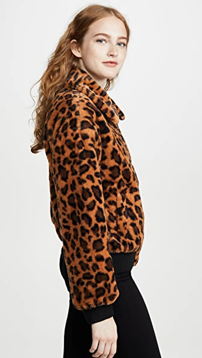 Shop Joa Leopard Faux Fur Bomber Jacket In Leopard/caramel