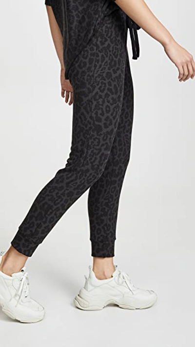 Shop Lna Brushed Leopard Sweatpants