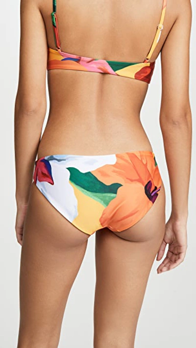 Shop Mara Hoffman Zoa Bikini Bottoms In Plumeria Print