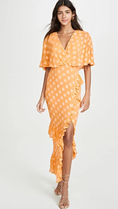 Shop Saloni Rose Dress In Apricot