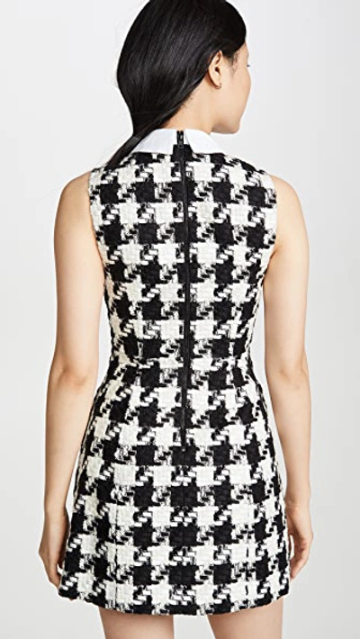 Shop Alice And Olivia Ellis Gathered Zip Front Dress In Black/white