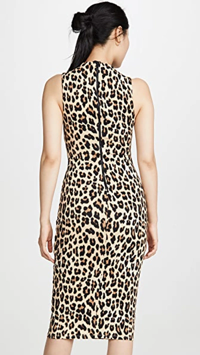 Shop Alice And Olivia Sleeveless Delora Dress In Textured Leopard
