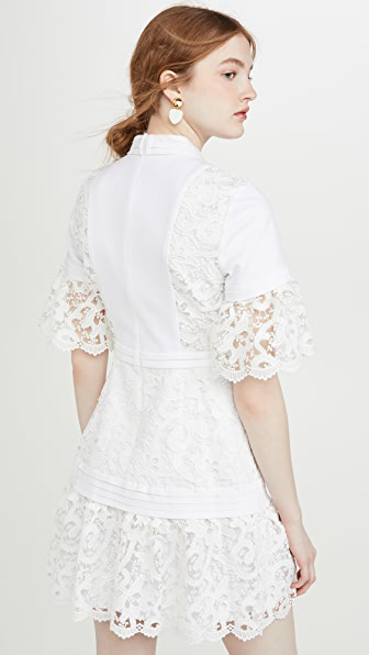 Alexis Liberty Guipure-lace-paneled Mini Dress In White | ModeSens
