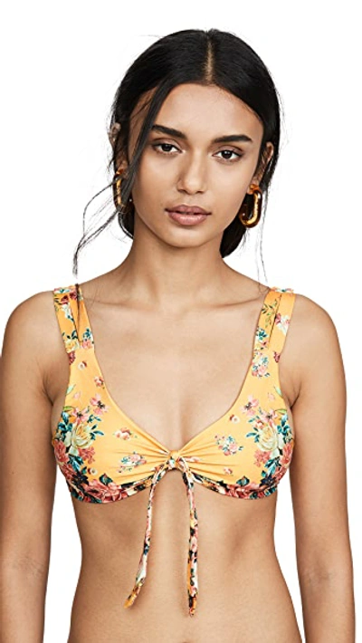 Shop Agua Bendita Grace Bikini Top In Gypsy