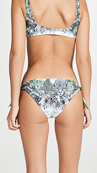 Shop Agua Bendita Mila Bikini Bottoms In Makera