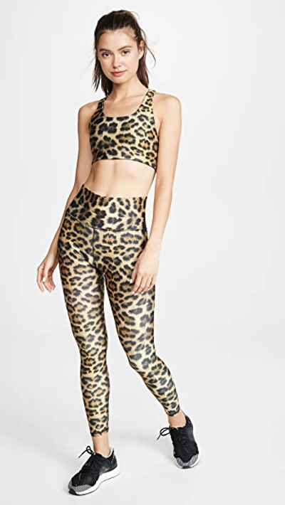 Shop Terez Reversible Printed Bra In Leopard Goals