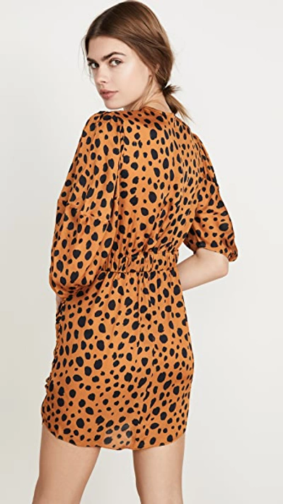 Shop Rhode Pia Dress In Cheetah