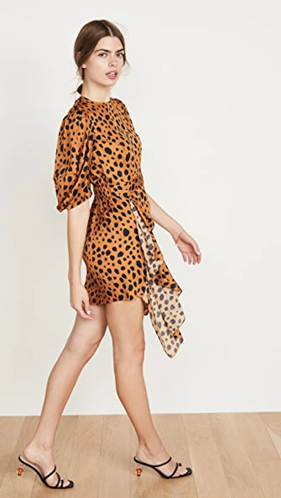Shop Rhode Pia Dress In Cheetah