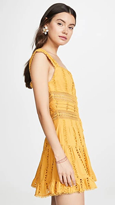 Shop Rahi Paradise Andie Dress In Mustard