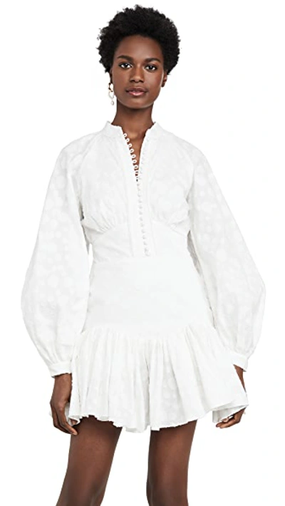 Shop Acler Bastia Dress In Ivory