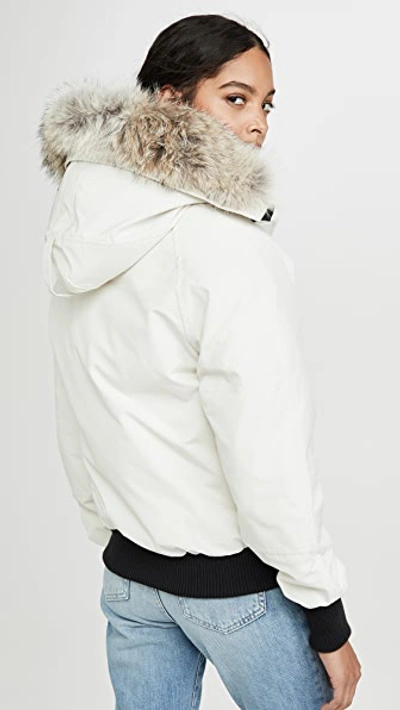 Shop Canada Goose Chilliwack Bomber Jacket In Early Light