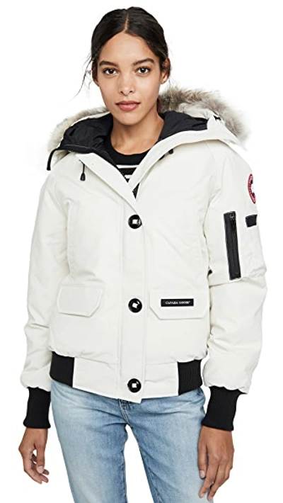 Shop Canada Goose Chilliwack Bomber Jacket In Early Light