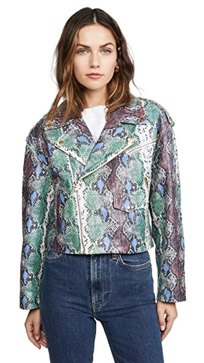 Shop Sprwmn Snake Embossed Leather Jacket In Multi Snake