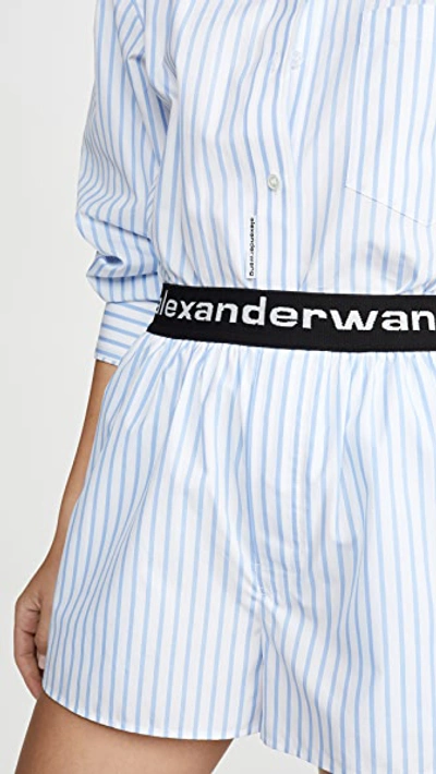 Shop Alexander Wang Boxer Shorts With Logo Elastic In Blue/white Stripe