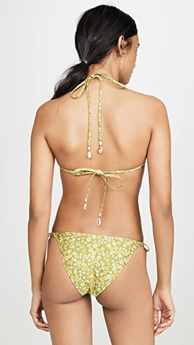 Shop Zimmermann Peggy Shell Side Bikini Set In Green Floral