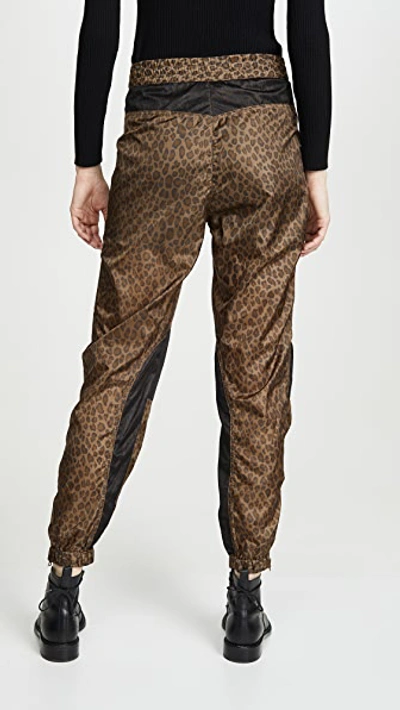 Shop R13 Track Pants In Leopard